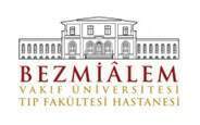 Bezmialem Vakıf Üniversitesi