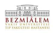 Bezmialem Vakıf Üniversitesi